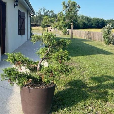 O20 Esprit Nature Sainte-Helene  Zewnętrze zdjęcie
